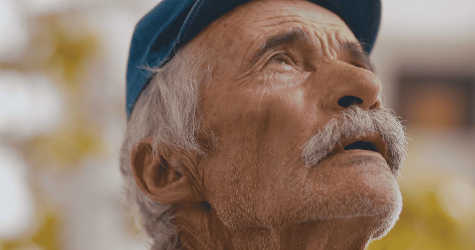 Photo 7 Still 2025 05 10 172605 2.13.1