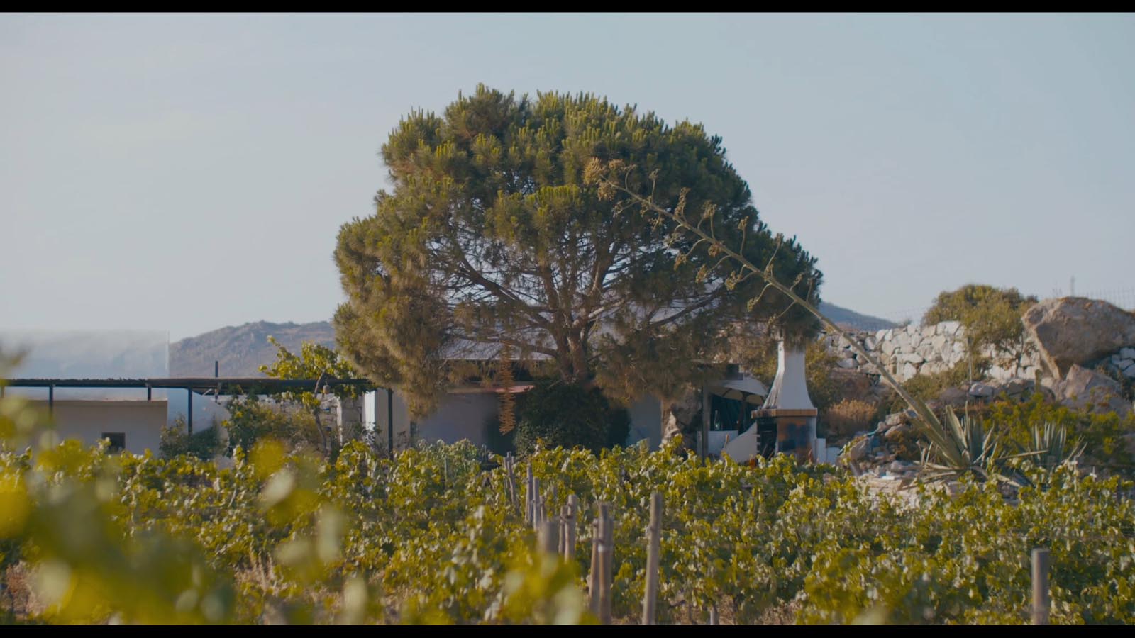 Photo 9 Screenshot 70