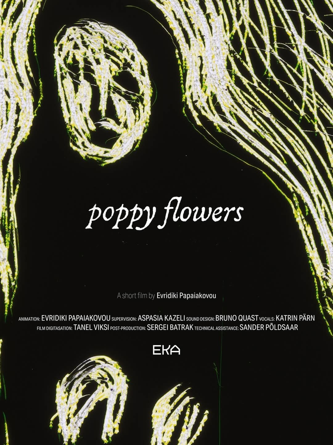 poppy flowers