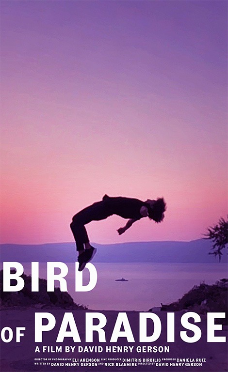 Bird of paradise poster