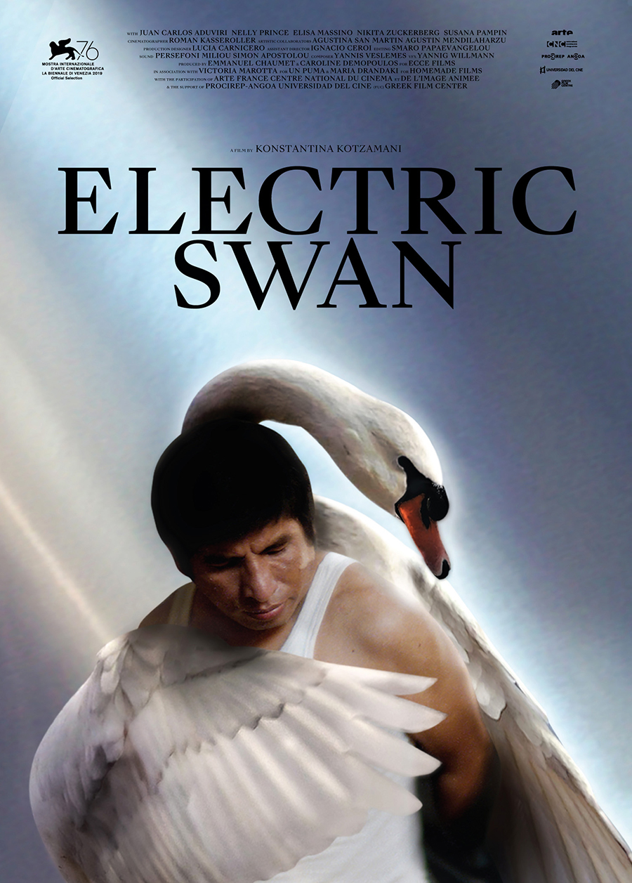 Electric Swan Poster