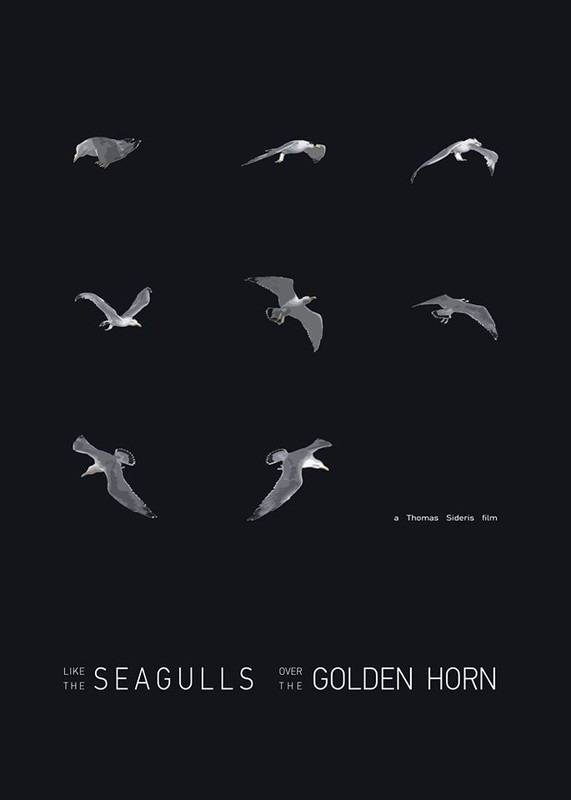 seagulls poster